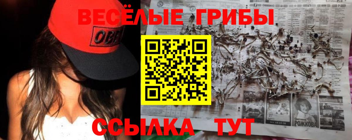 Галлюциногенные грибы GOLDEN TEACHER  Псилоцибиновые грибы Psilocybine cubensis  Вход с VPN  Краснодар 