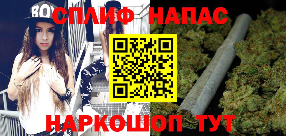 Конопля сатива Краснодар
